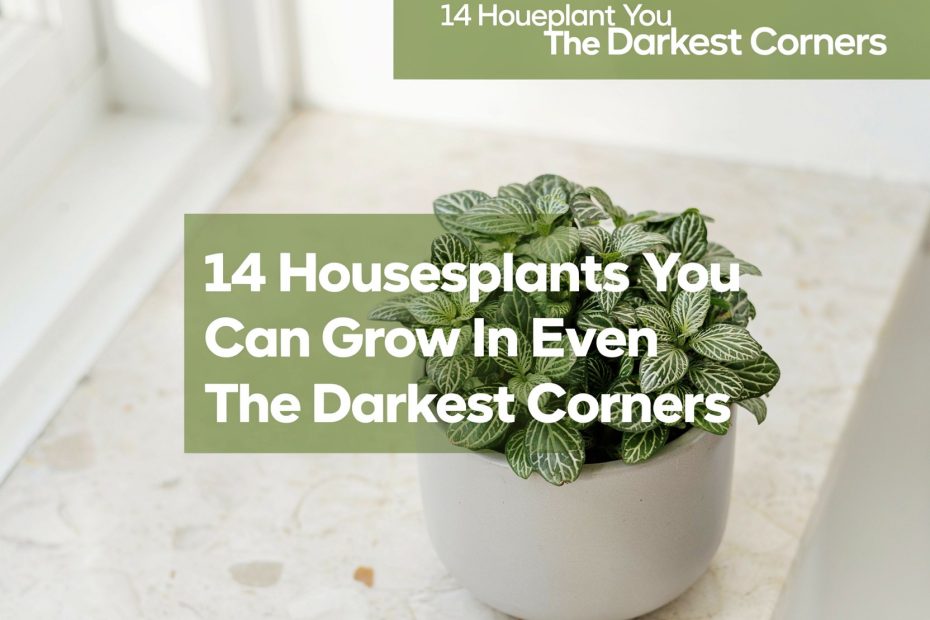 Low Light Bathroom Plants | 14 Houseplants That Thrive Without Sun | Small Bathroom Decor Ideas